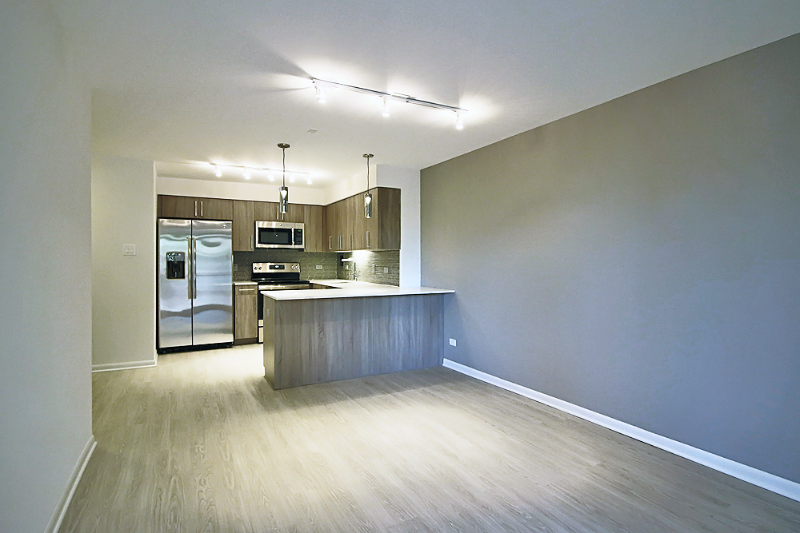 Chicago Condo: 929 S Ashland Ave