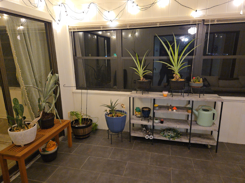 Mulberry Condo: 6057 Topher Trl