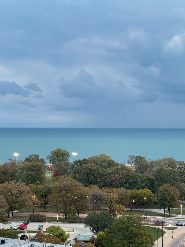 Chicago Multiplex: 1636 N Wells St,