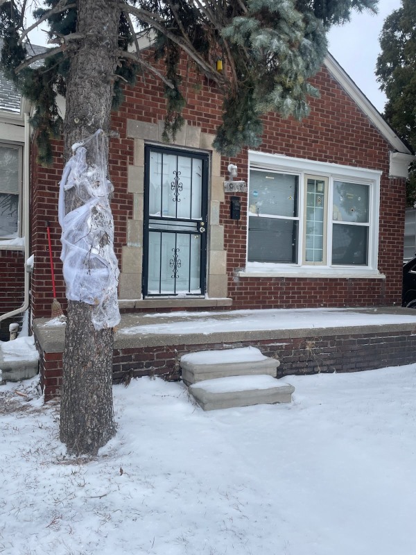 Detroit House: 19142 Ryan Rd