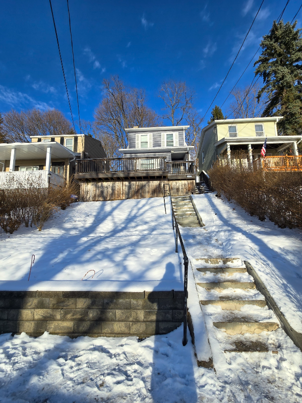 Pittsburgh House: 1042 Lessing St