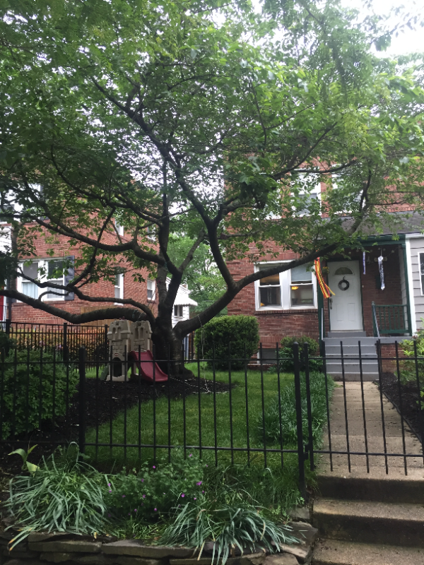 Alexandria Townhome: 529 E. Nelson Ave.