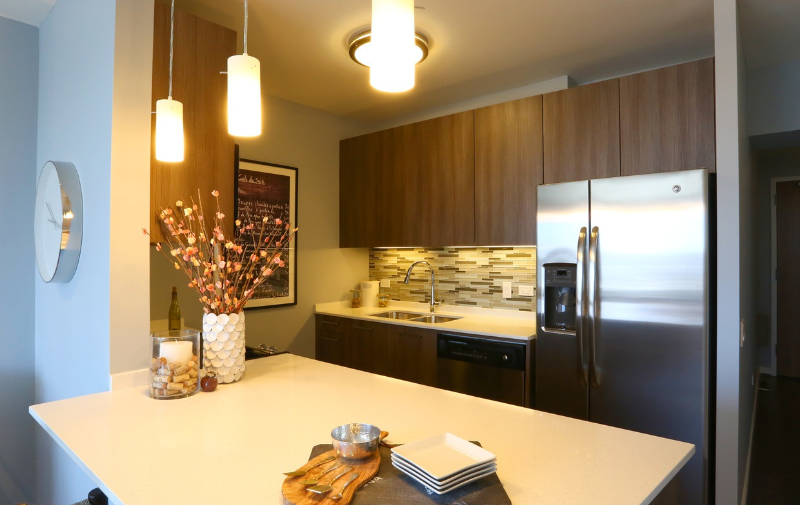 Chicago Condo: 359 W Hubbard St