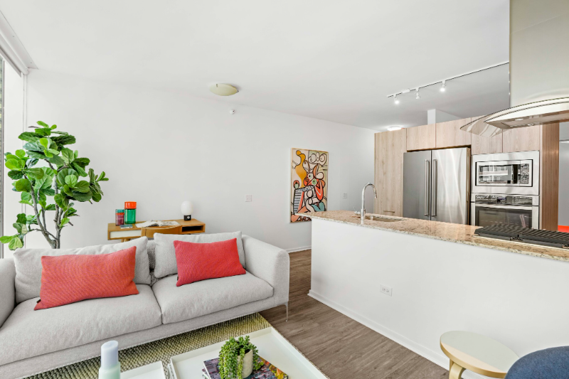 Chicago Condo: 212 east illinois street