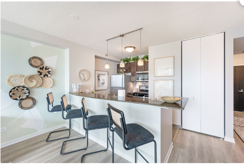 Chicago Condo: 347 E Ohio St