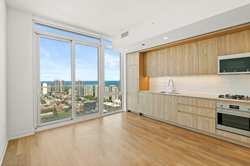 Chicago Condo: 208 west hill street