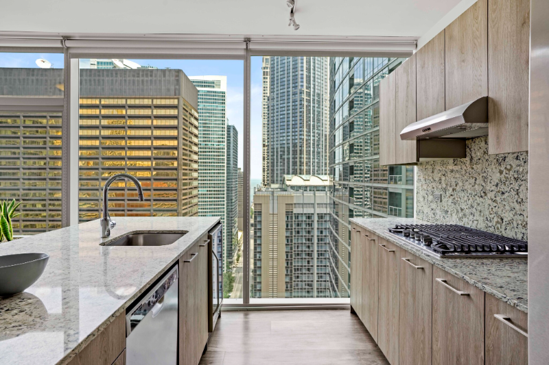 Chicago Condo: 242 E Illinois St