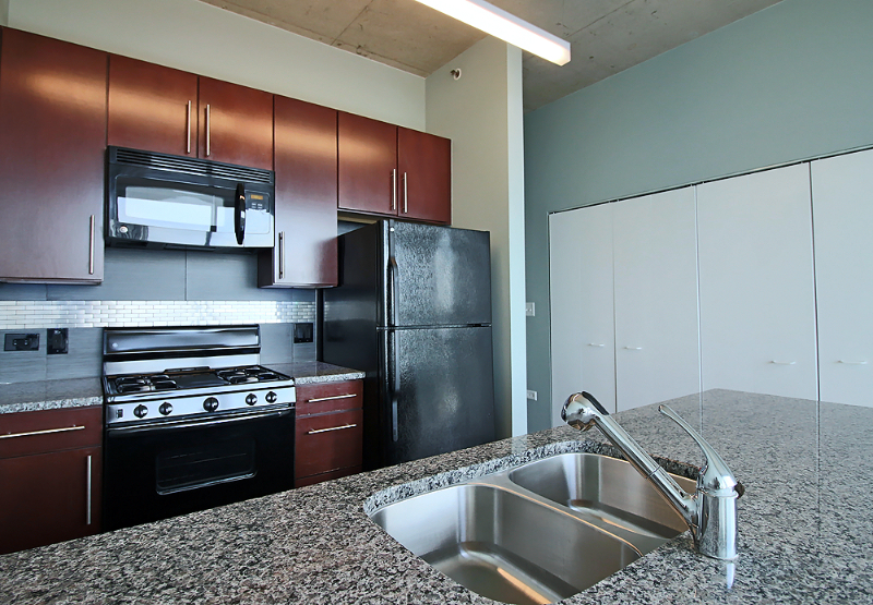 Chicago Condo: 39 E 14th St