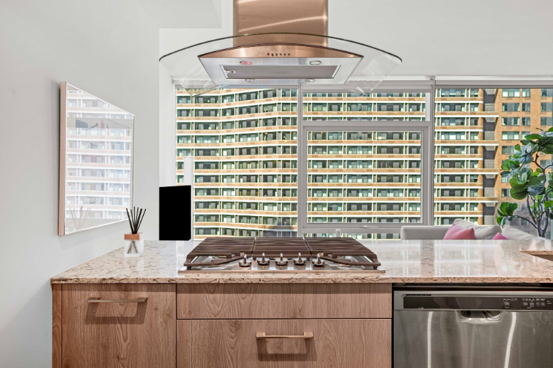 Chicago Condo: 192 E Illinois St