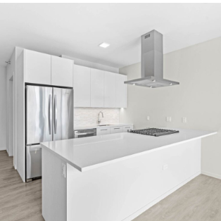 Chicago Condo: 12 E Huron