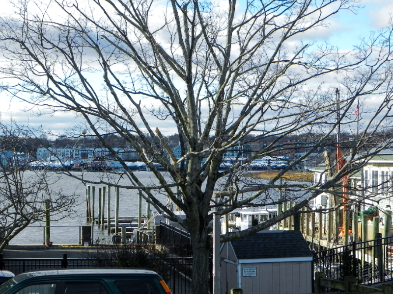 Norwalk Multiplex: 25 Cove Avenue , Unit# 1