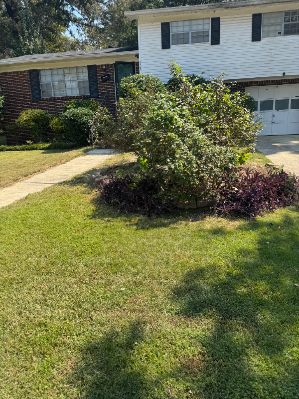 Birmingham House: 2425 Etowah St,