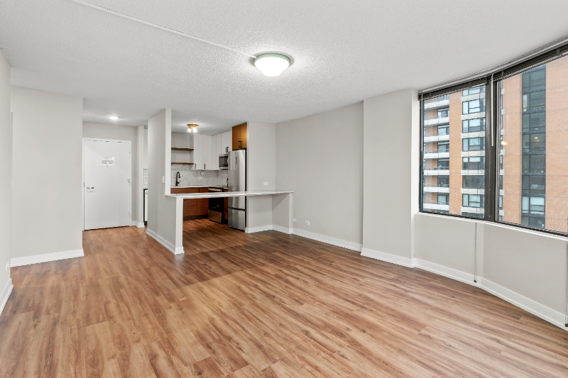 Chicago Condo: 1215 South Michigan Ave