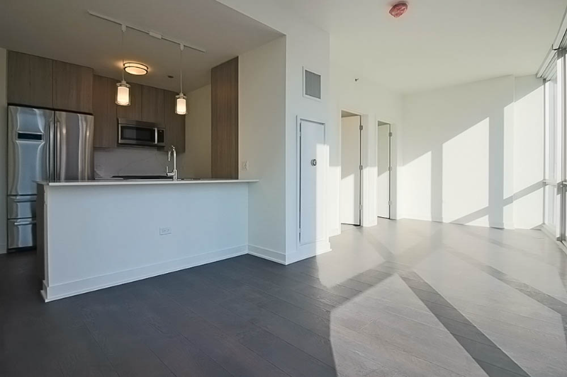 Chicago Condo: 461 North Park Dr