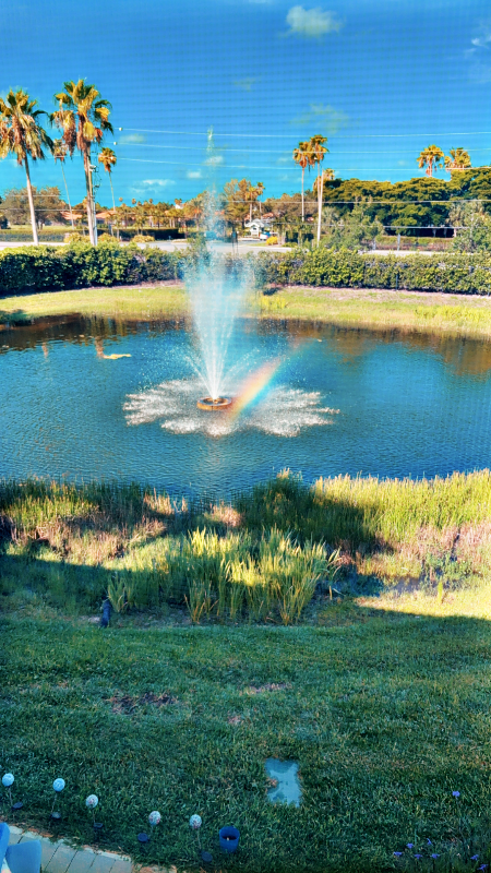 Fort myers Townhome: 10012 pacific pines ave