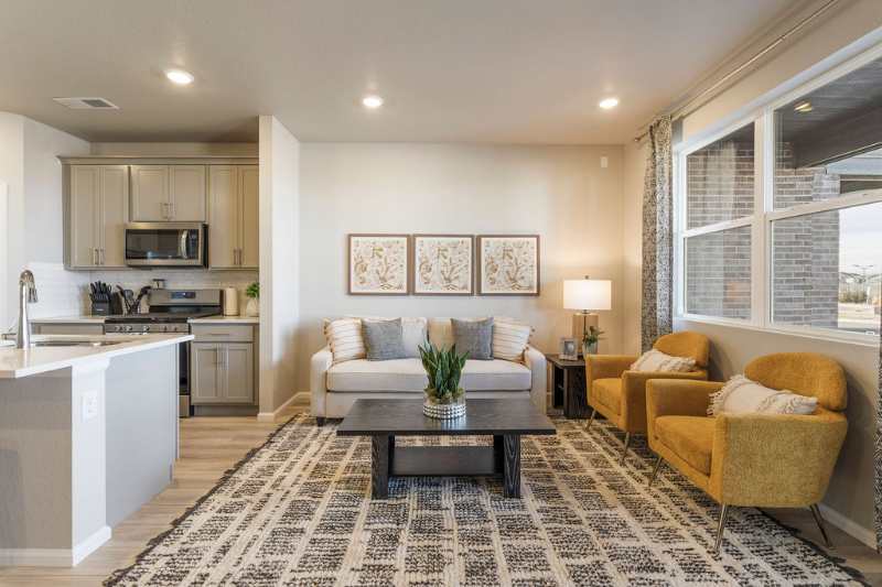 Aurora Townhome: 750 N Rome Street