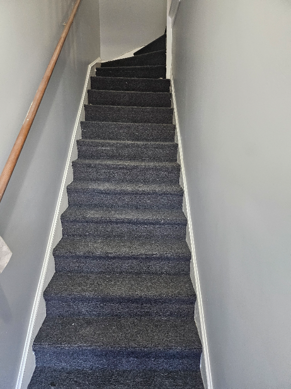 Chicago Apartment: 433 N Lawndale Ave