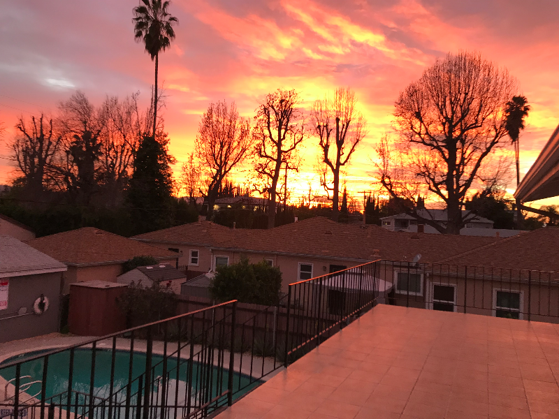 Sherman Oaks Multiplex: 13744 Burbank