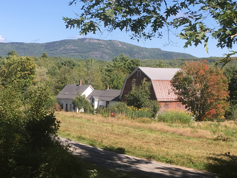 Union House: 314 Davis Rd