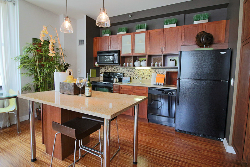 Chicago Condo: 98 E lake