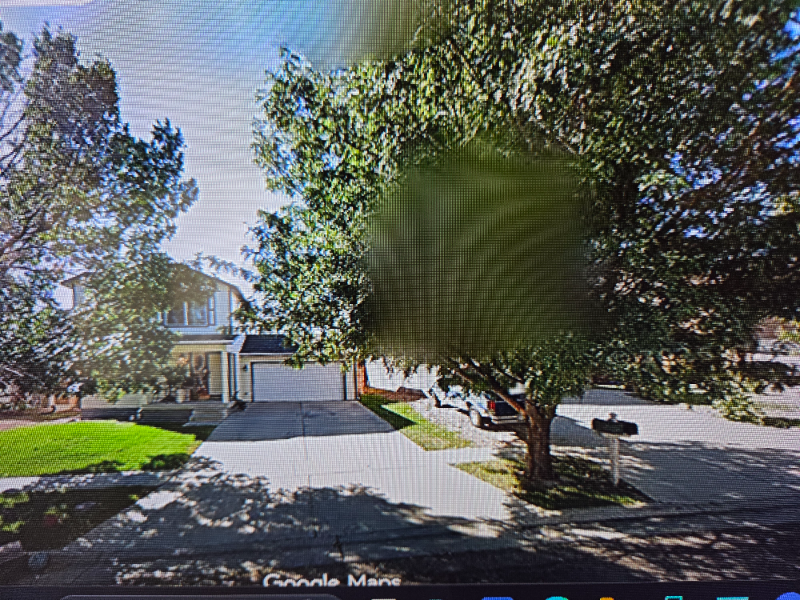 Pueblo Other: 3938 Bison