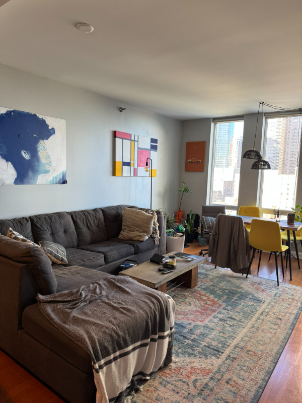 Chicago Multiplex: 1250 S Michigan Ave,