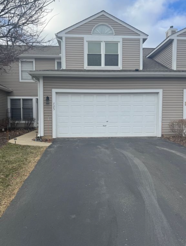 Schaumburg Townhome: 725 Hamilton Cir