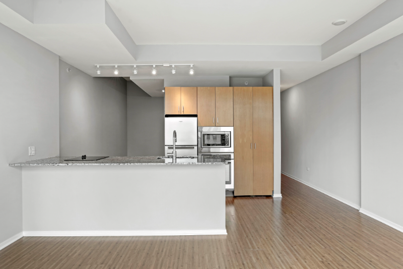 Chicago Condo: 203 E Grand