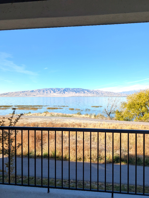 Vineyard Condo: 701 N 380 W