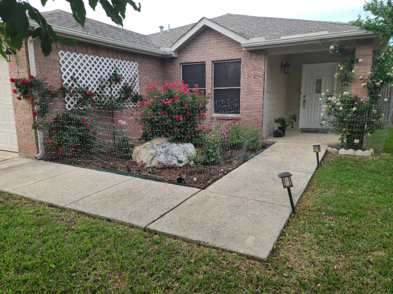 San Antonio House: 1615 Spice Spring