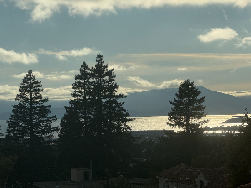 Berkeley Apartment: 1700 LeRoy