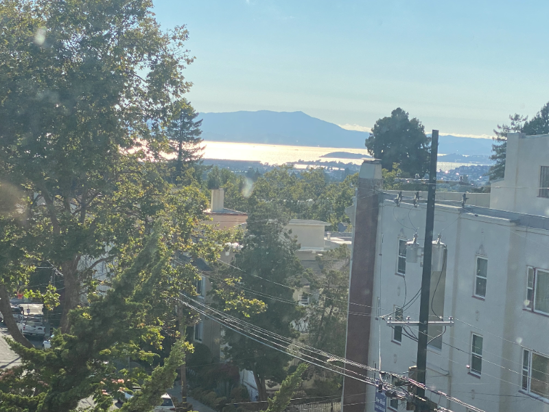 Berkeley Apartment: 1700 LeRoy