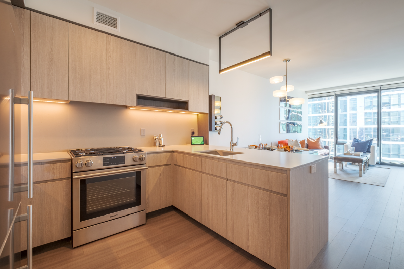 Chicago Condo: 1184 S Indiana Ave