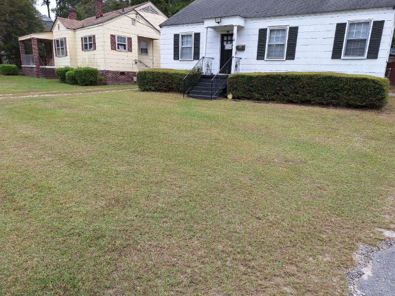 Orangeburg House: 718 McKewn St