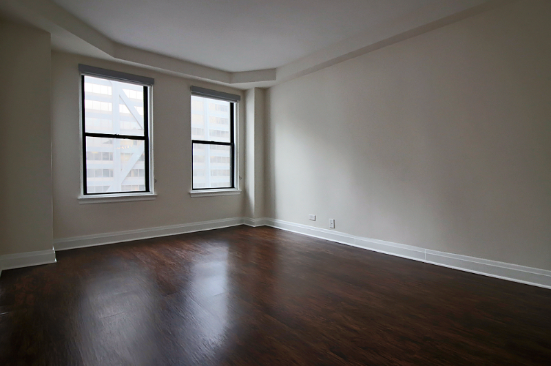 Chicago Condo: 196 E Delaware Pl