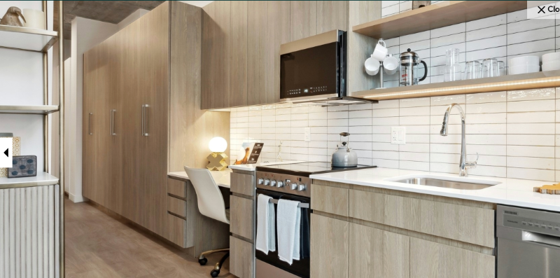 Chicago Condo: 801 N Wells