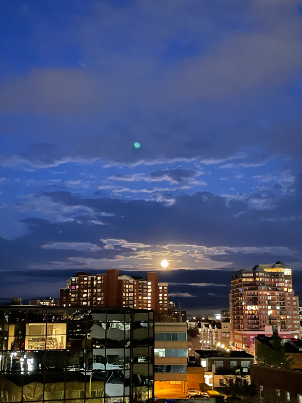 Stamford Multiplex: 700 Summer St,