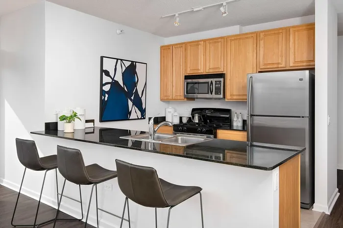 Chicago Condo: 351 N Desplaines St