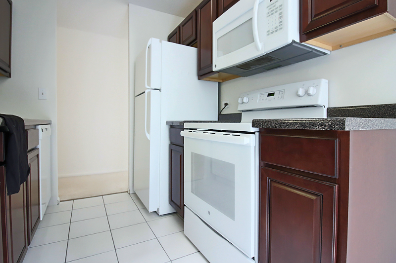 Chicago Condo: 1202 N Stone