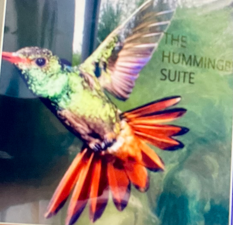 Santee Other: 9859 Gandy Avenue