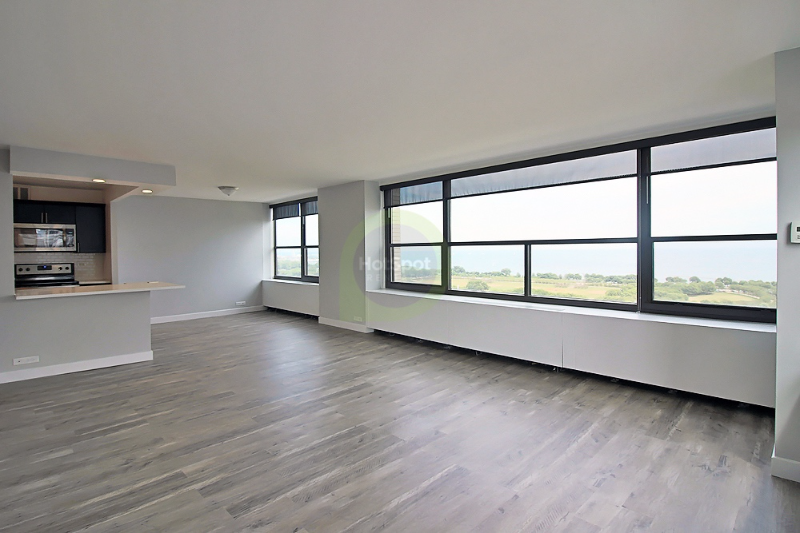 Chicago Condo: 85 E. 11th St