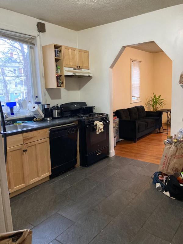 Boston Multiplex: 55 Hillside Street