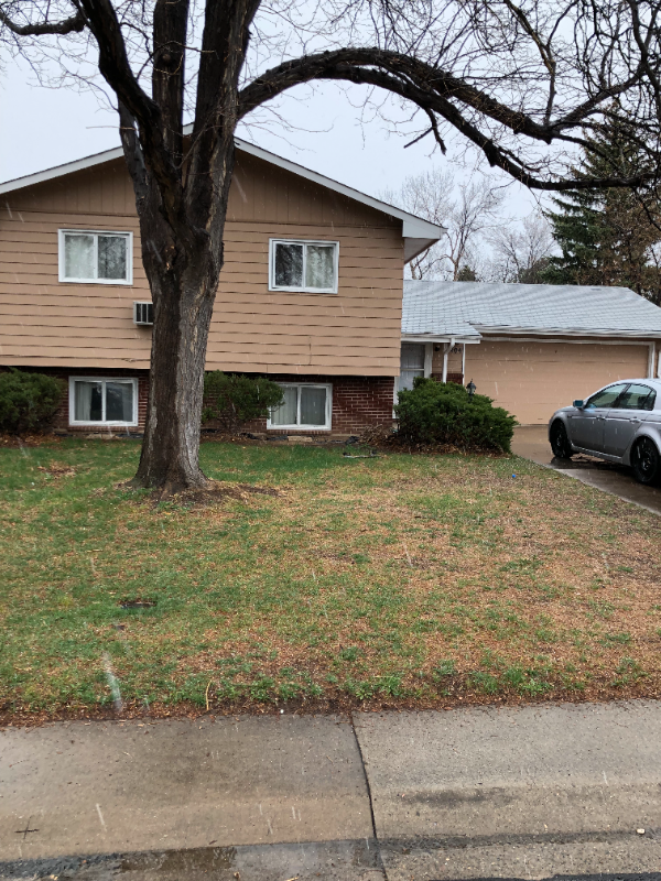 Fort Collins House: 1404 Shamrock Street