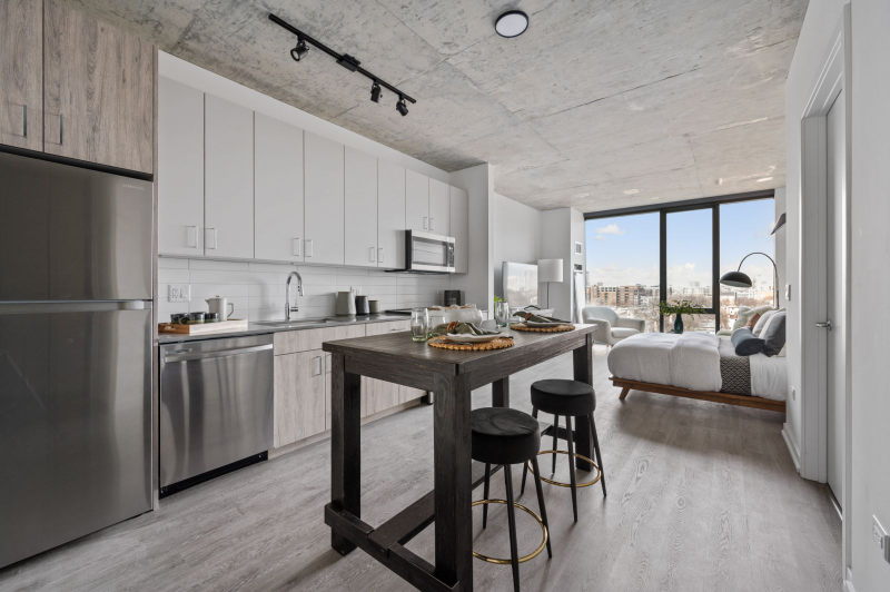 Chicago Condo: 815 Cleveland Ave