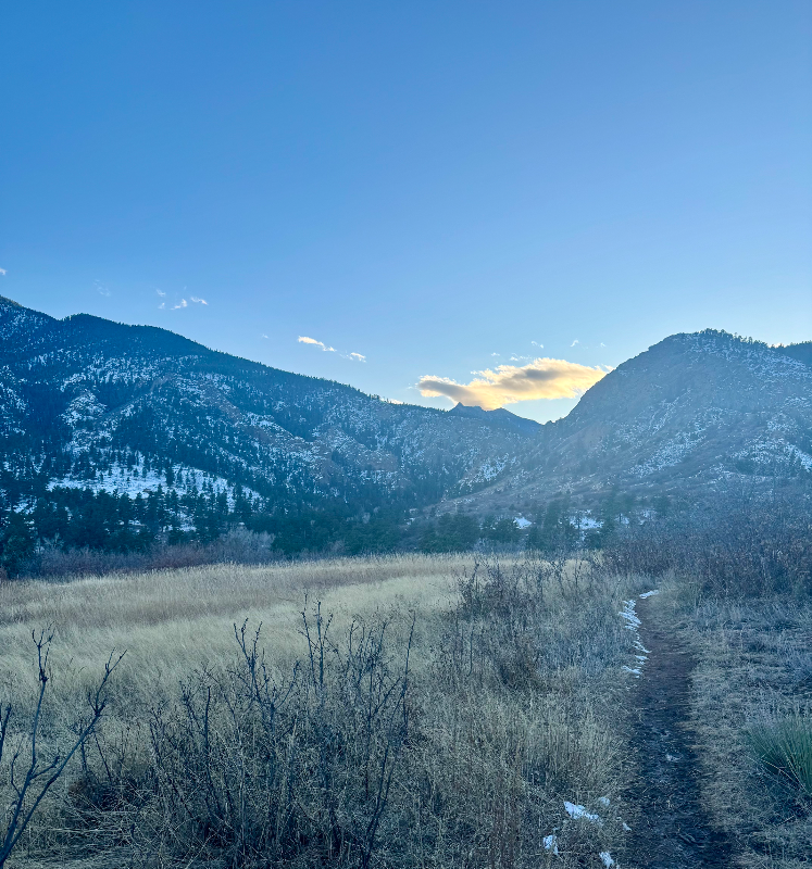 Colorado Springs House: 2036 Ridgeway Ave