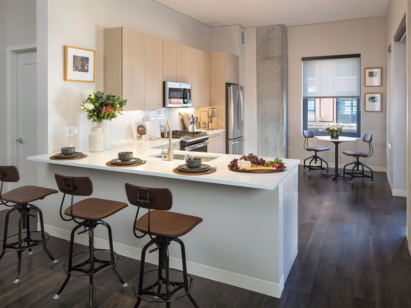 Chicago Condo: 224 S Peoria St