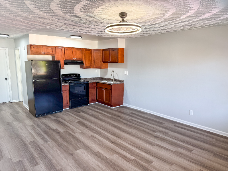 Norfolk Apartment: 717 Guy Avenue