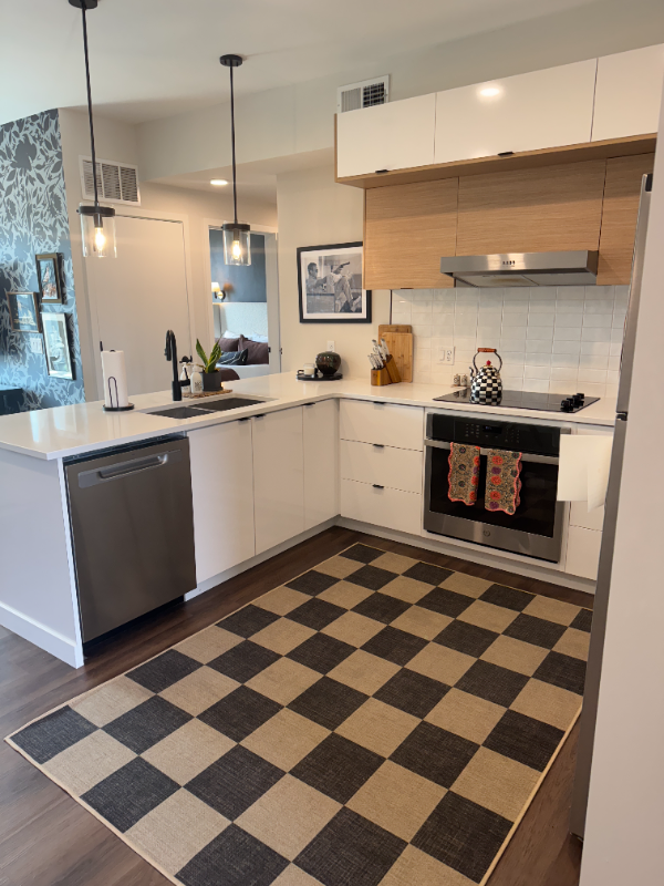 Denver Condo: 2120 N Downing St