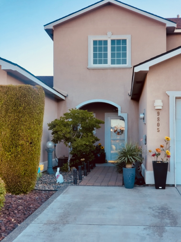 Pasco Townhome: 9805 Mia Ln,