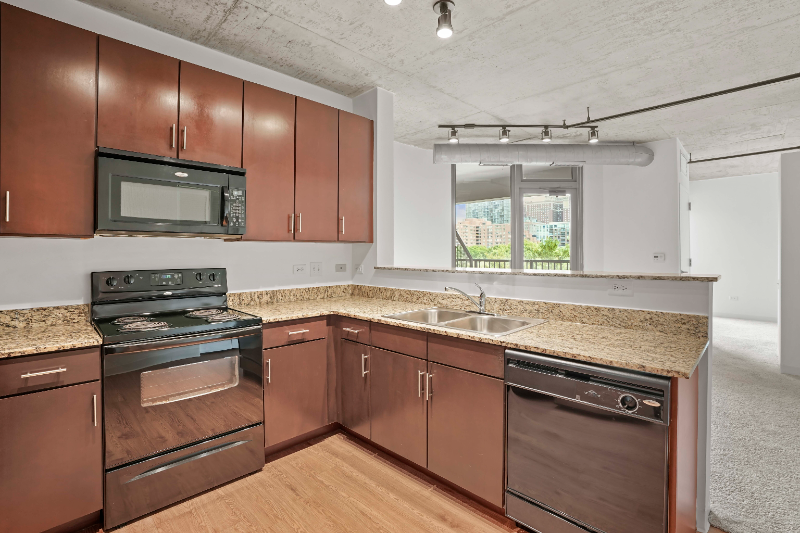 Chicago Condo: 910 S Clark St